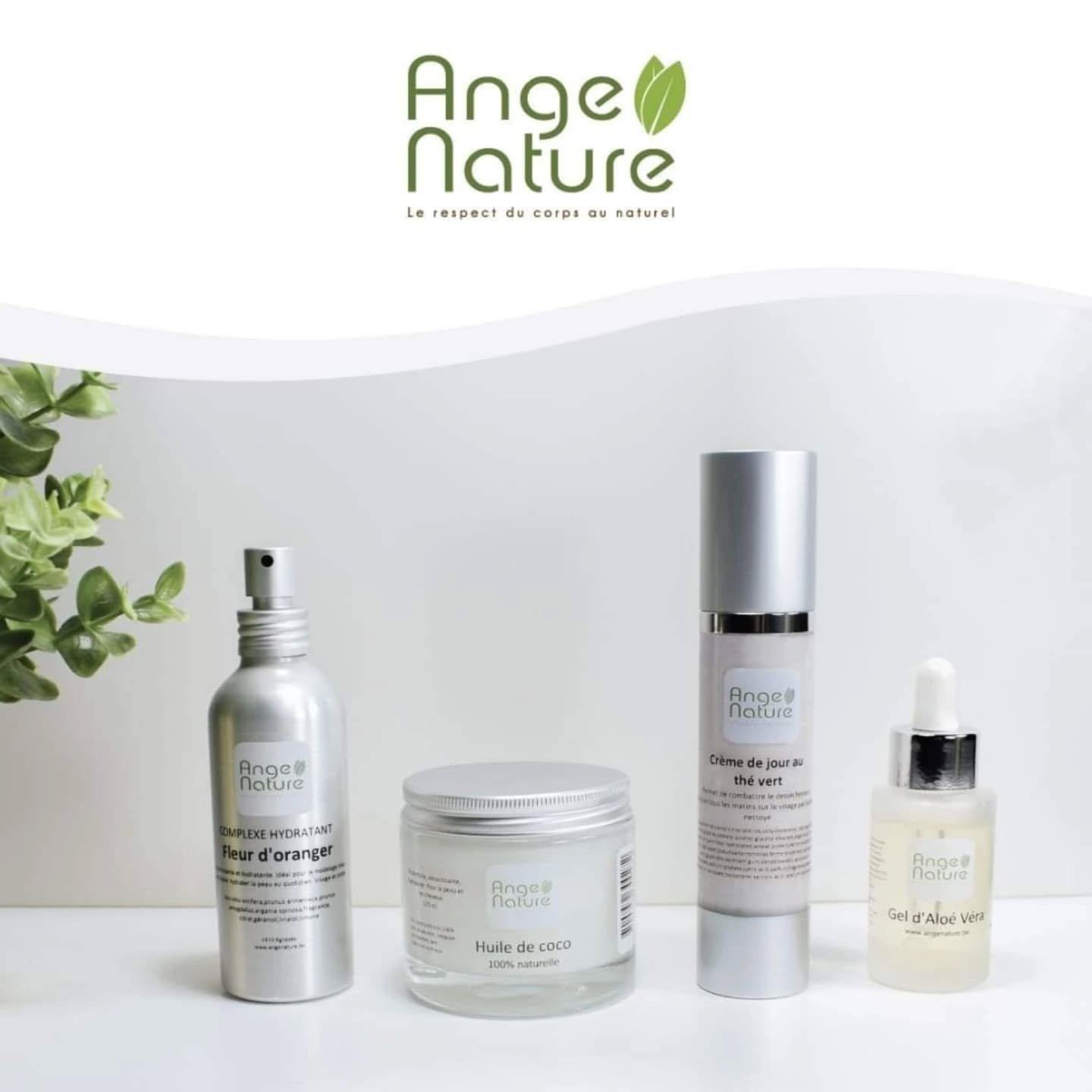 ange nature 2 bsp produits